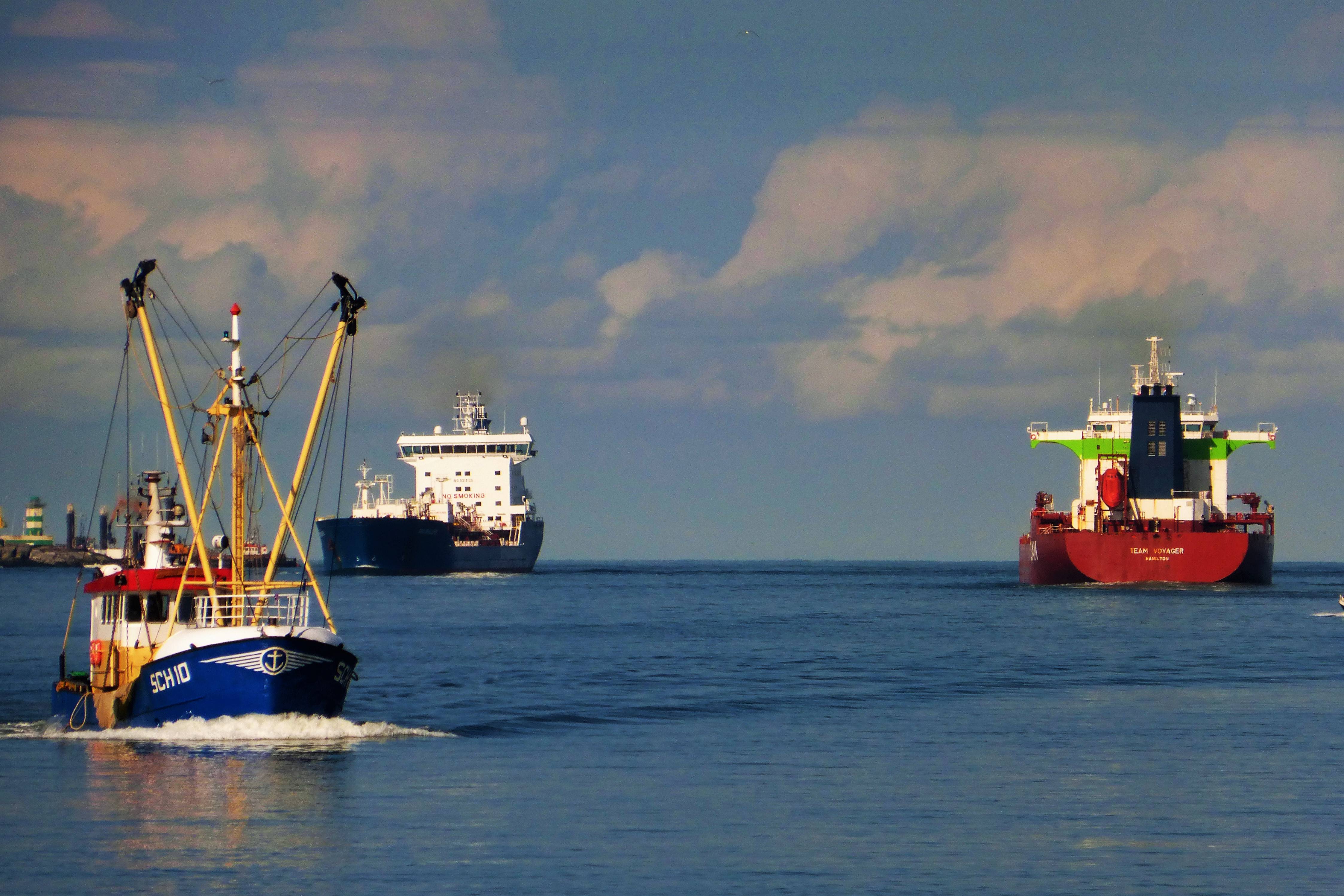 Pieren IJmuiden   02-09-20 